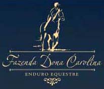 logo hotel hist&oacute;rico dona carolina